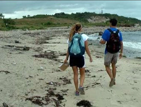 Sentinels 2013 Recap