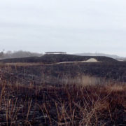 Battery Marcy, after the 2018 prescribed burn
