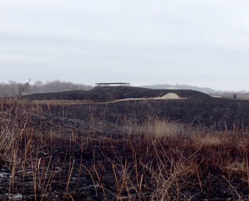 Battery Marcy, after the 2018 prescribed burn