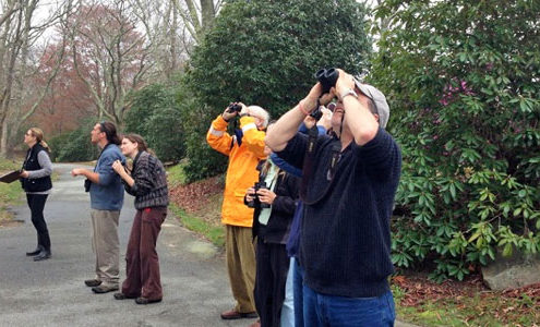 Bird Count birders