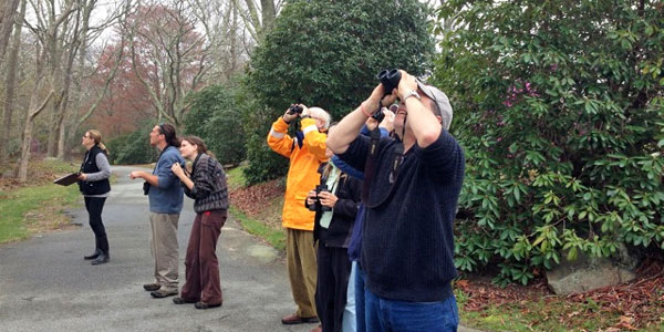 Bird Count birders