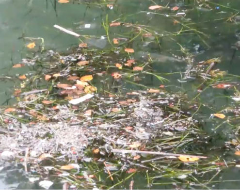 plastic marine debris