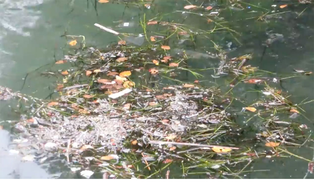 plastic marine debris