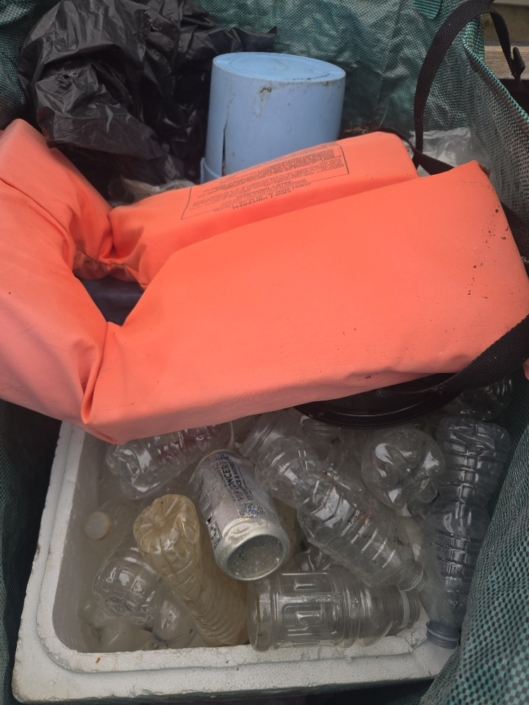 20251105_115131_resized