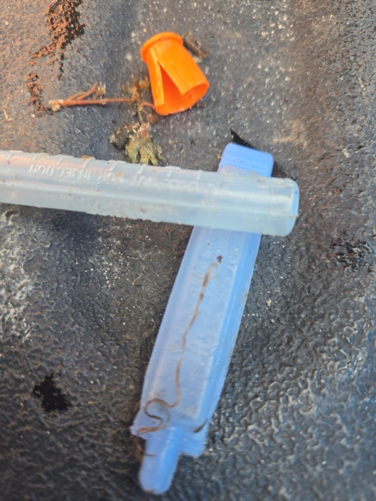 20251111_103956_resized