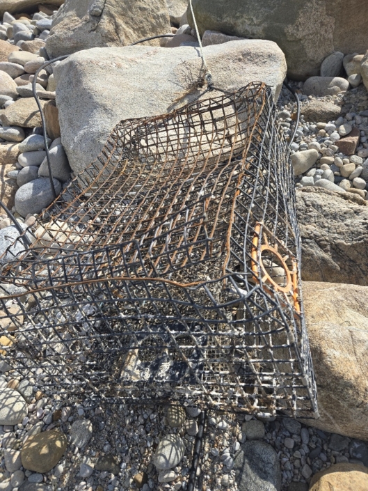 20251111_105818_resized