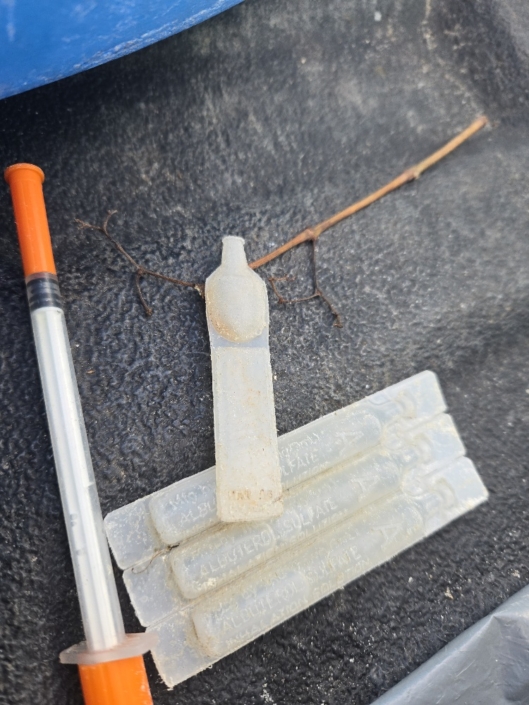 20251111_121911_resized