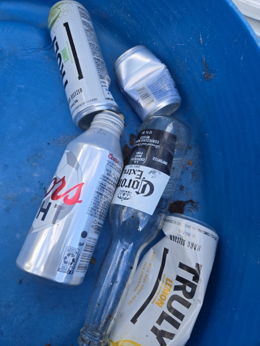 20251111_123503_resized