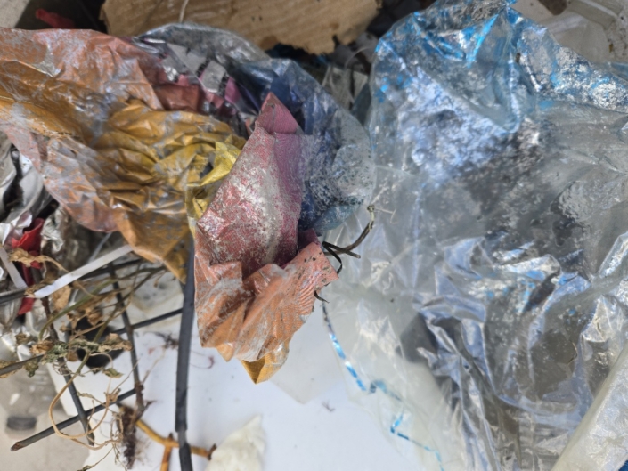 20251111_123746_resized