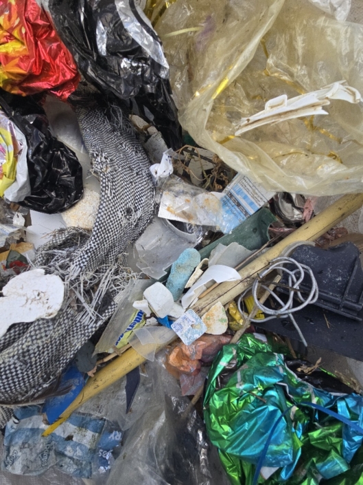 20251111_123821_resized